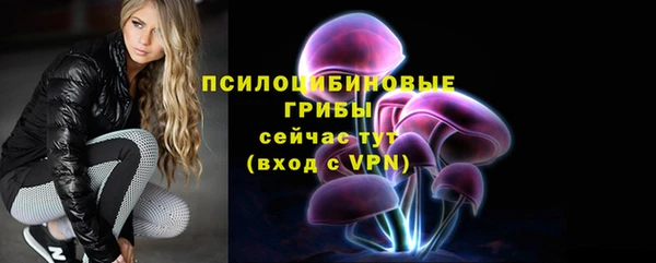 СК Аркадак