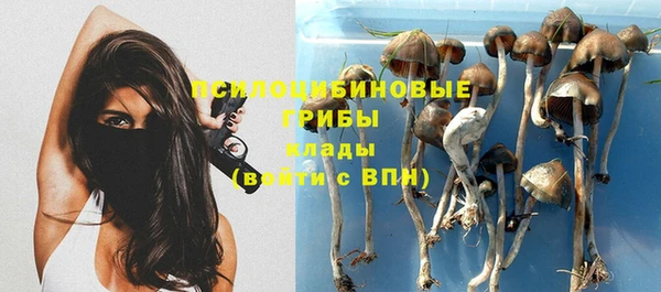 шишки Алзамай