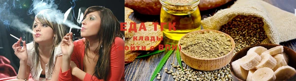 крисы Абаза