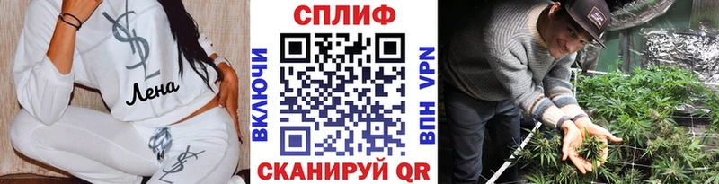 гидра рабочий сайт  Задонск  Бошки Шишки ГИДРОПОН 